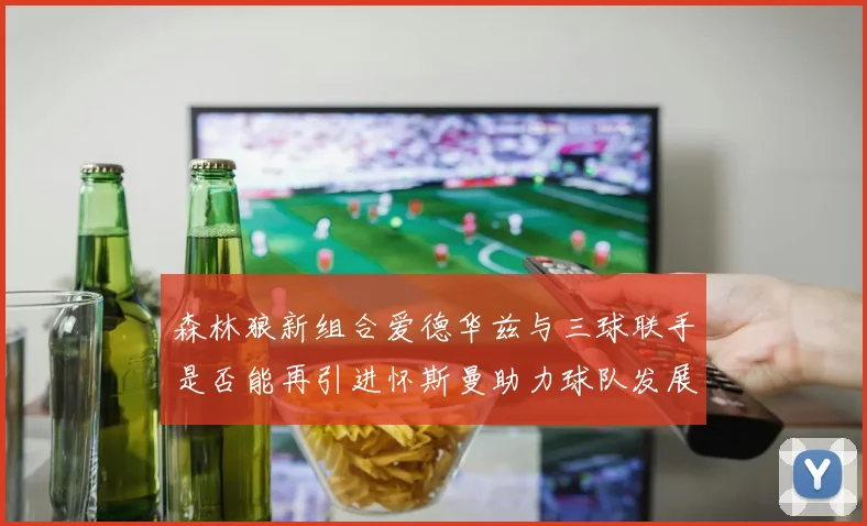森林狼新组合爱德华兹与三球联手是否能再引进怀斯曼助力球队发展
