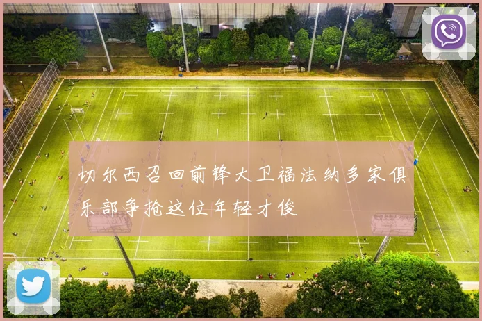 切尔西召回前锋大卫福法纳多家俱乐部争抢这位年轻才俊